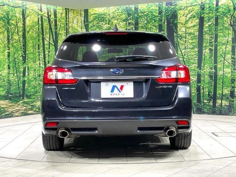 LEVORG
