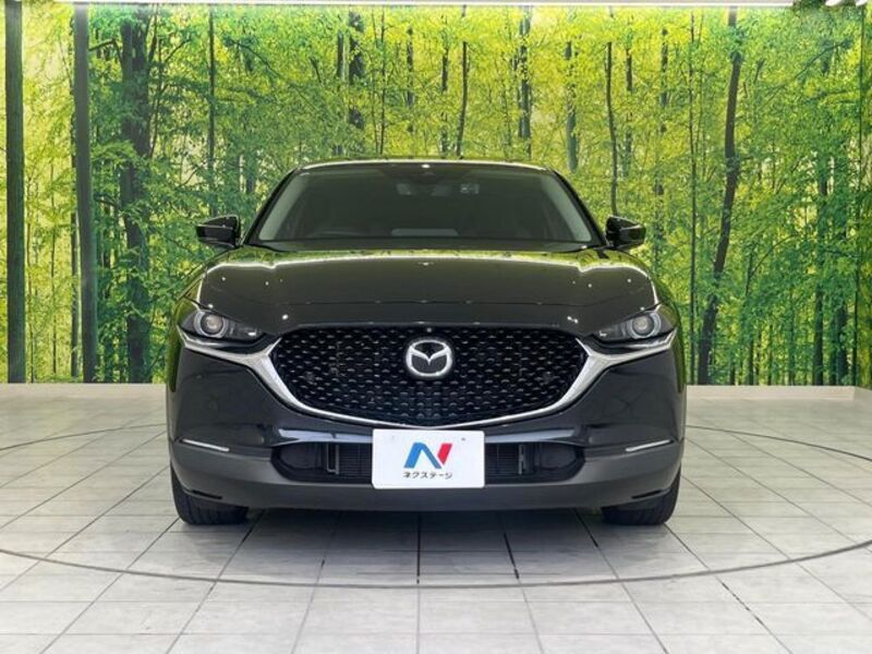 CX-30