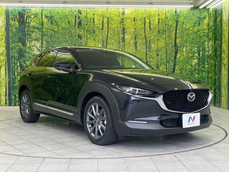 CX-30