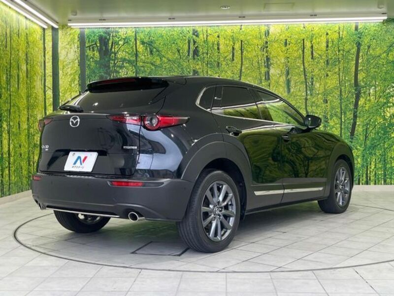 CX-30