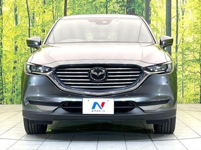 CX-8