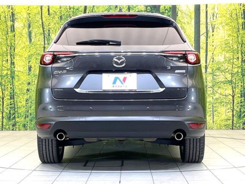 CX-8
