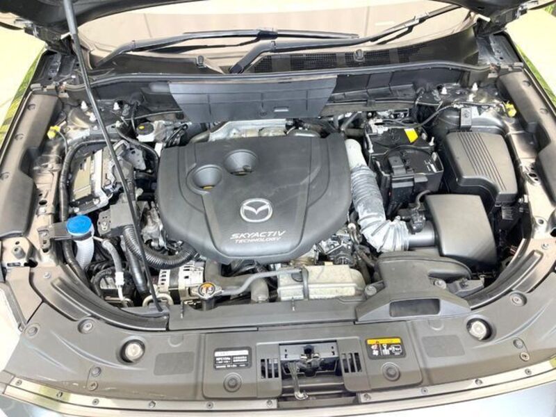 CX-8