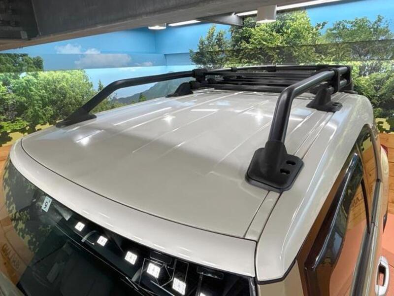 FJ CRUISER