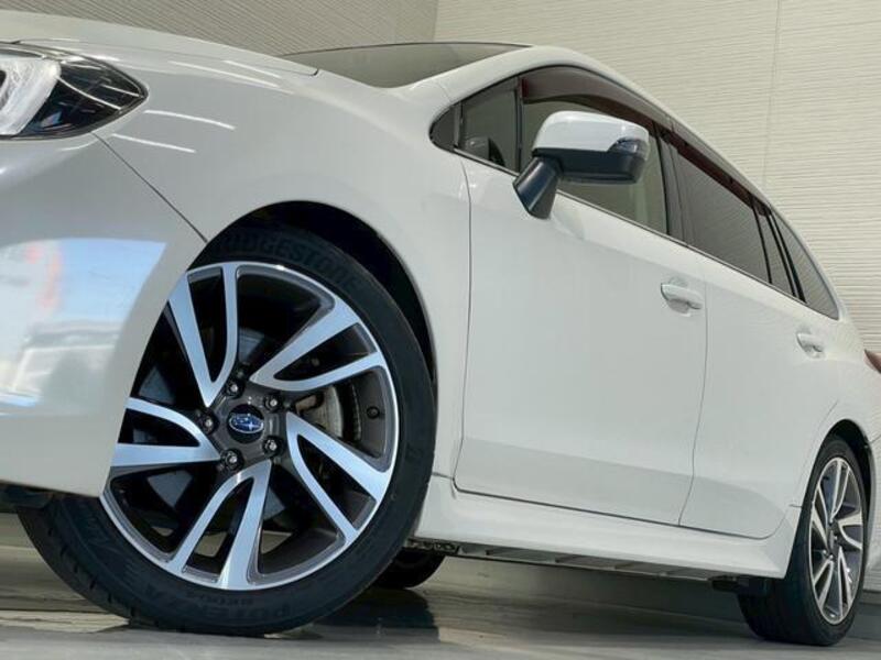 LEVORG