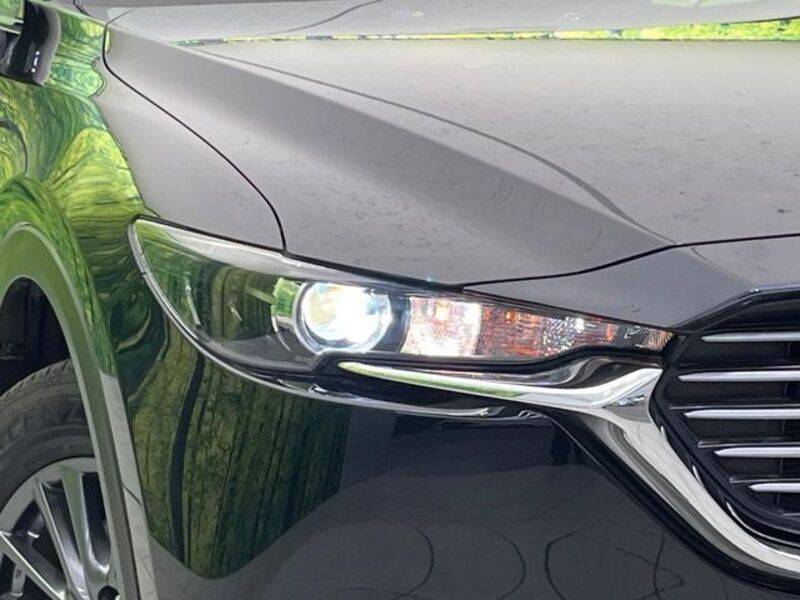 CX-8