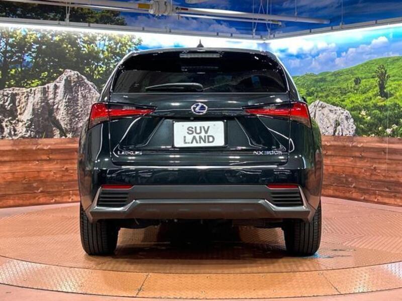 NX