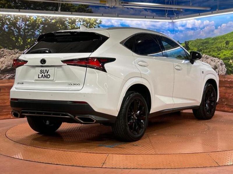 NX