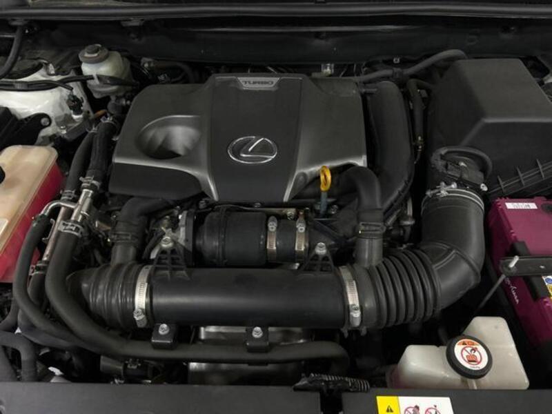 NX