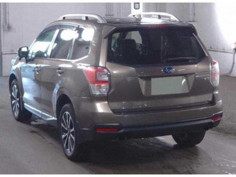 FORESTER