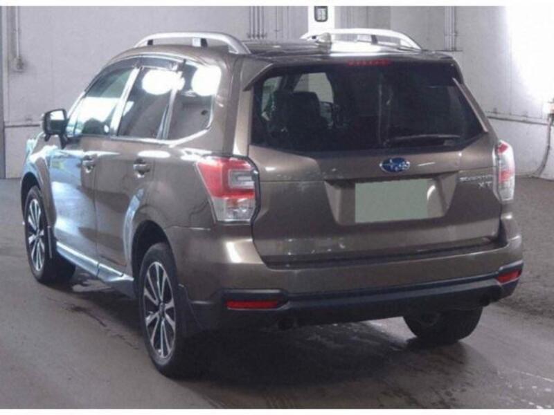 FORESTER