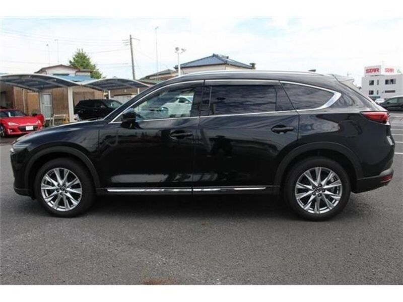 CX-8