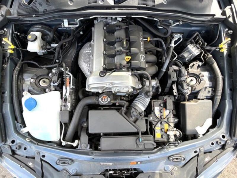 ROADSTER RF