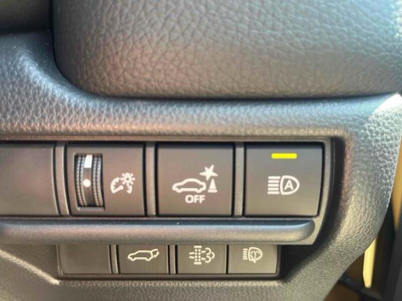 LAND CRUISER 250