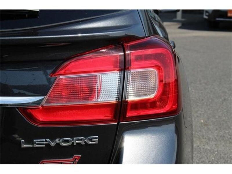 LEVORG