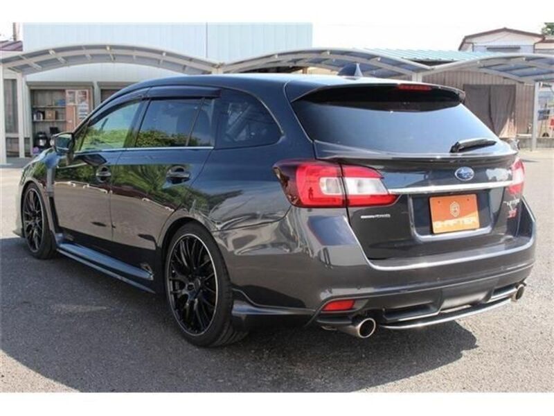 LEVORG