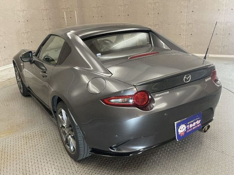 ROADSTER RF