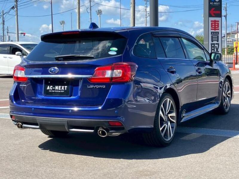 LEVORG