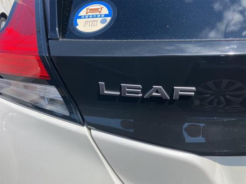 LEAF