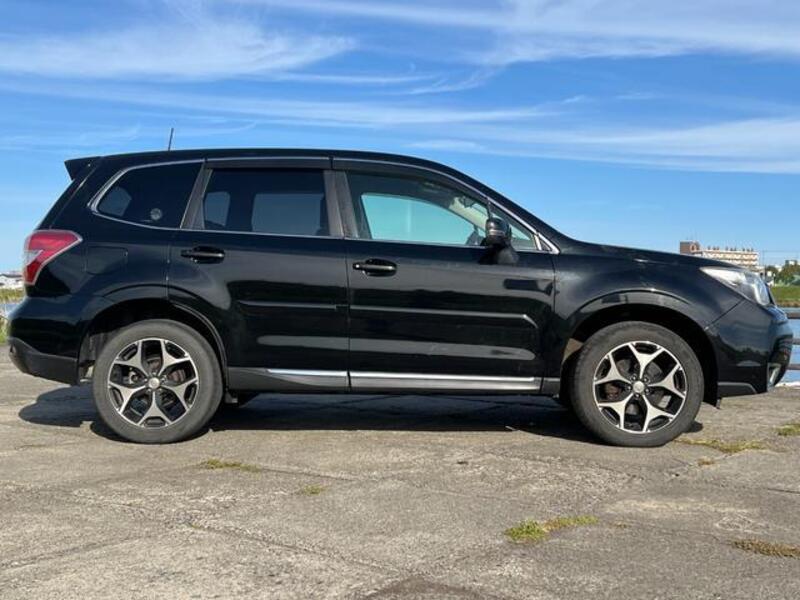 FORESTER