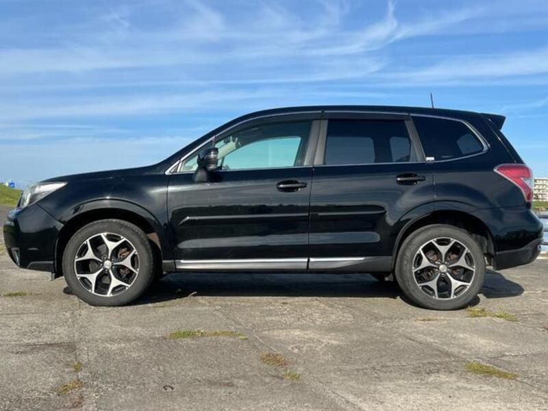 FORESTER