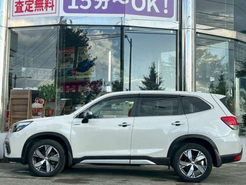 FORESTER