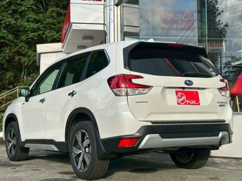 FORESTER