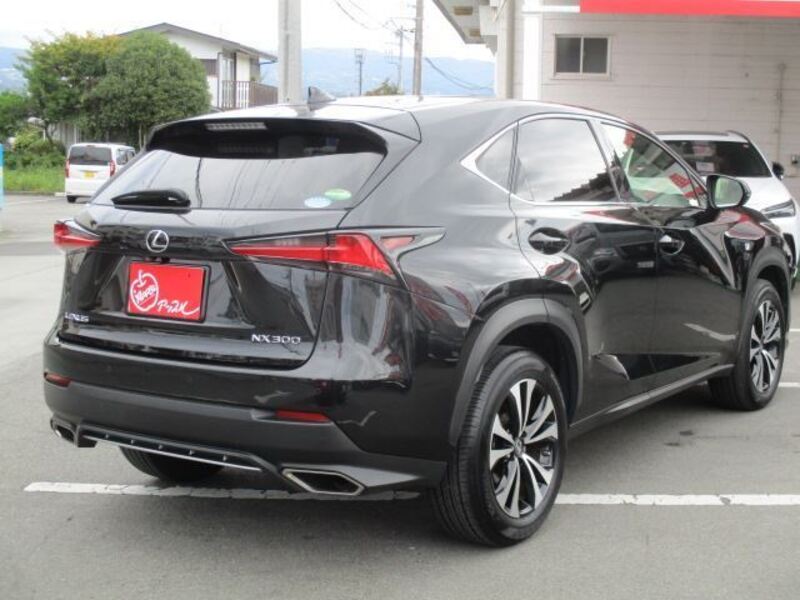 NX