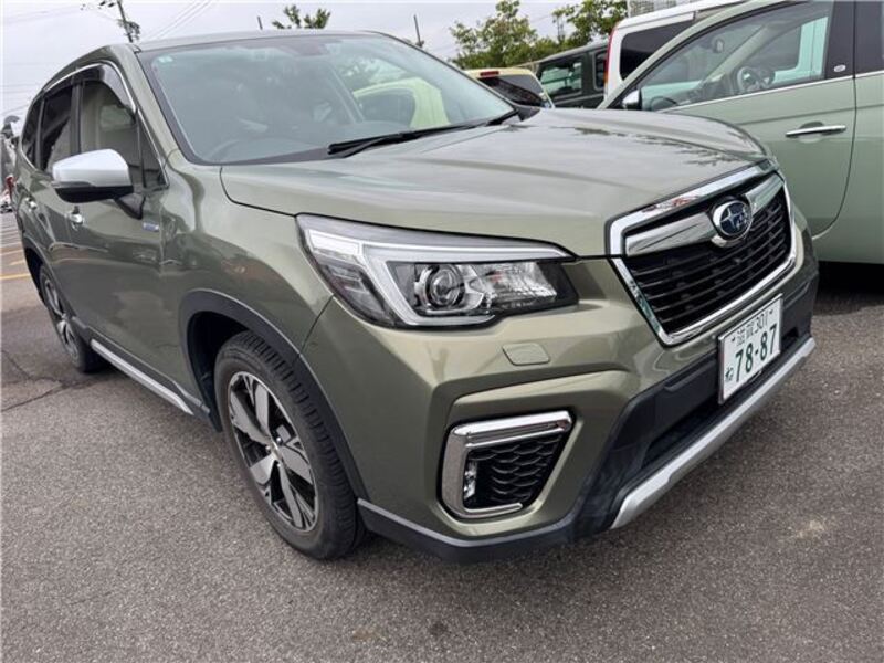 FORESTER