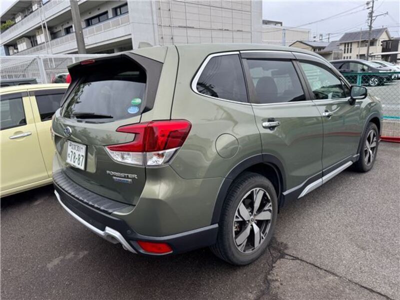 FORESTER