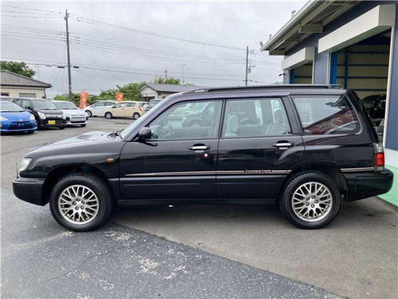 FORESTER