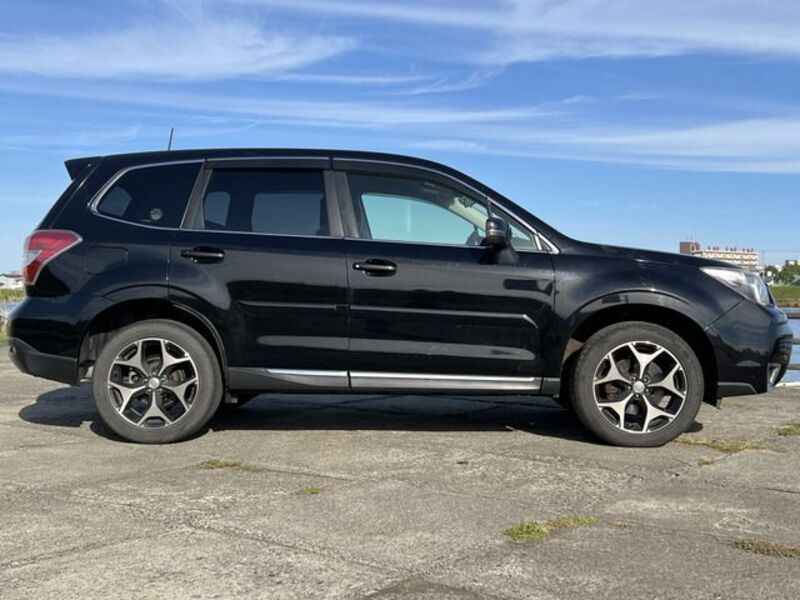 FORESTER