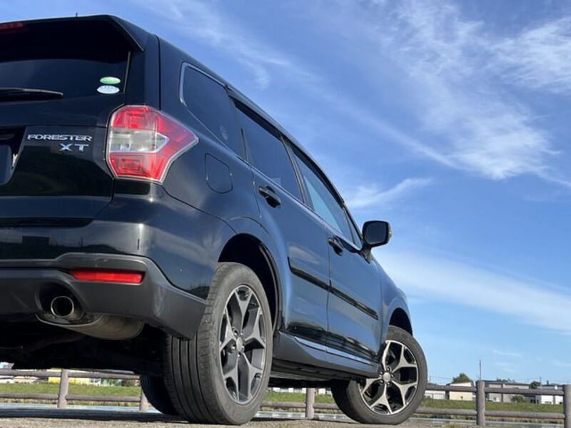 FORESTER