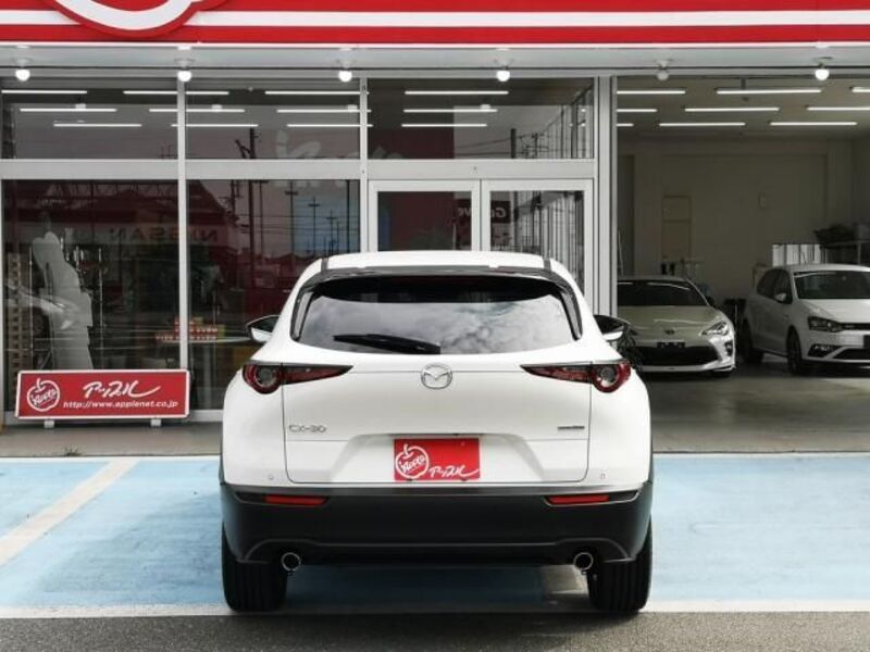 CX-30