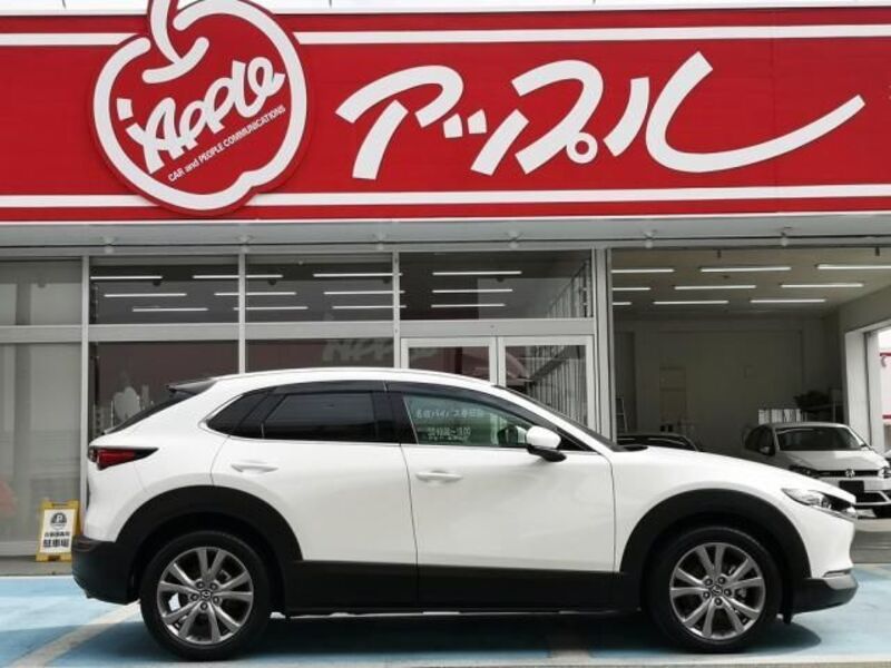 CX-30