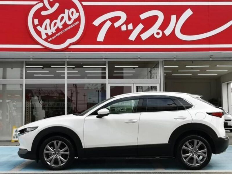 CX-30