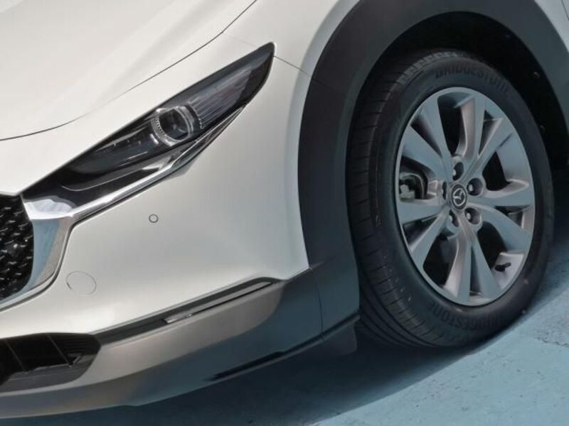 CX-30
