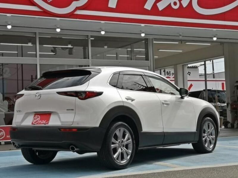 CX-30