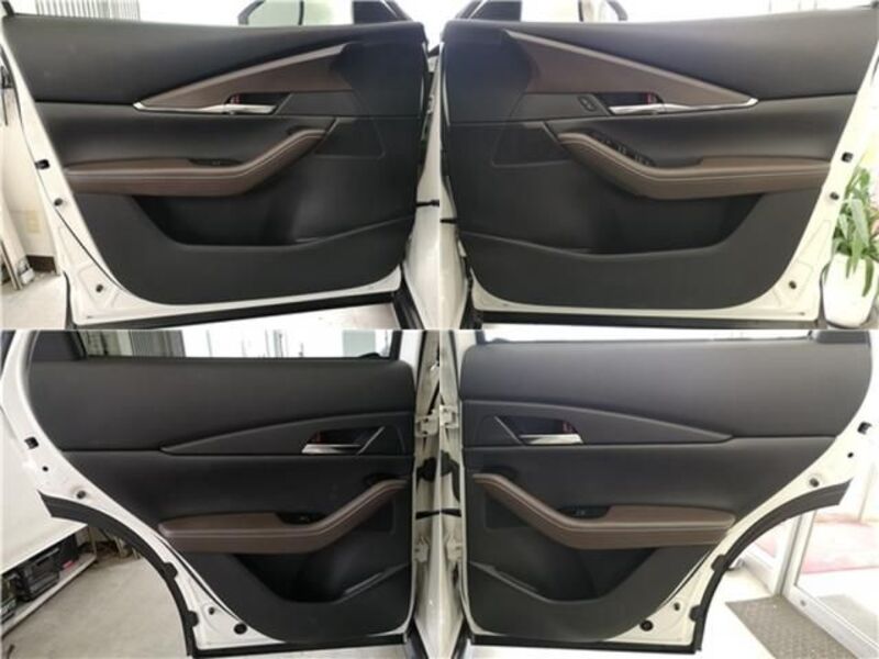CX-30