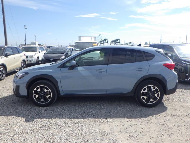 XV