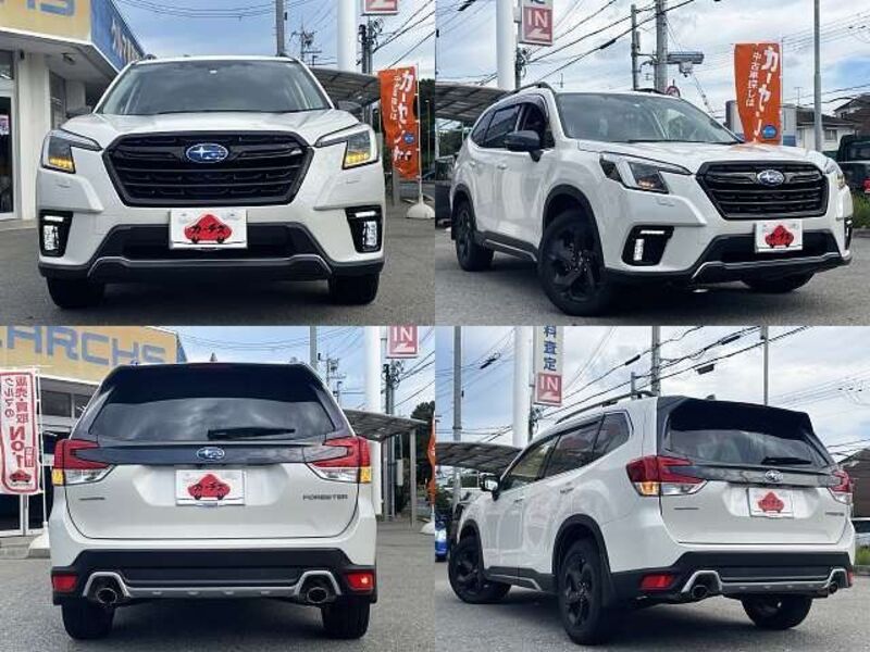 FORESTER