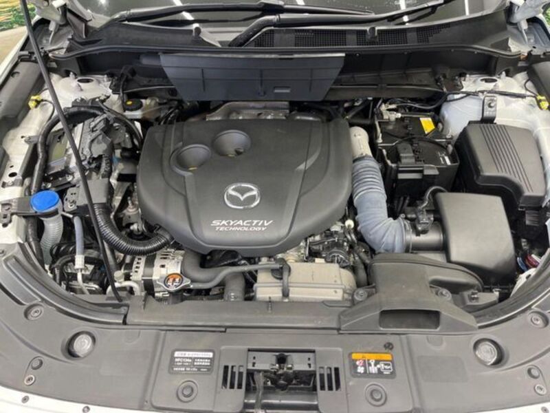 CX-8