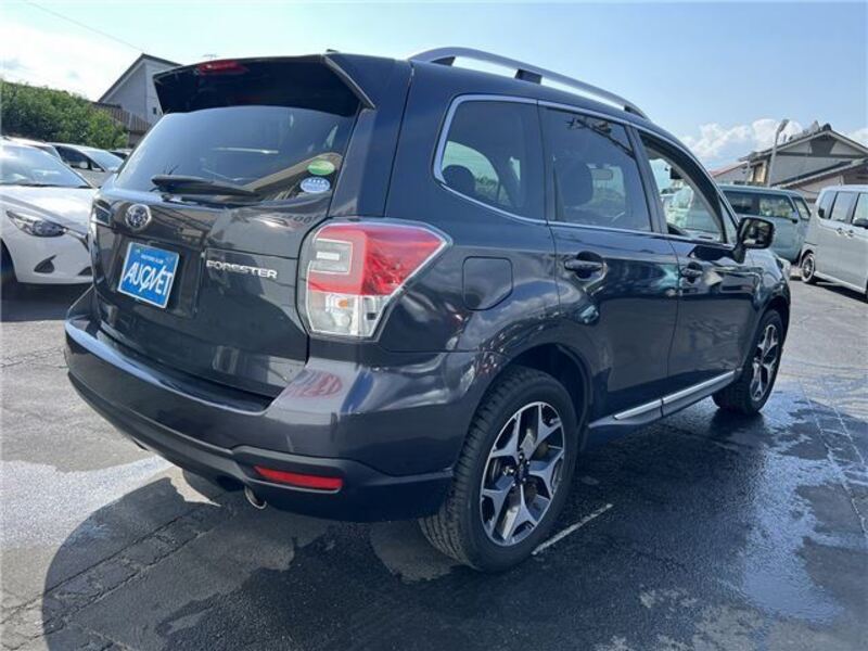 FORESTER