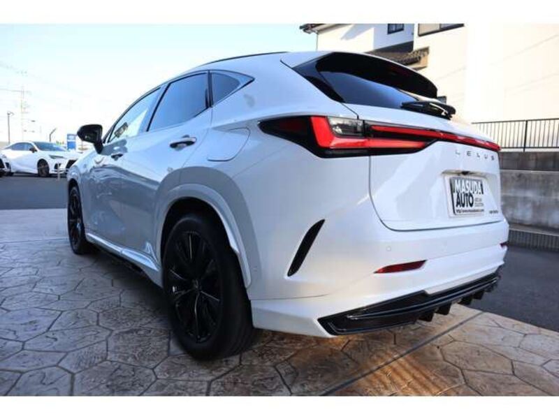 NX
