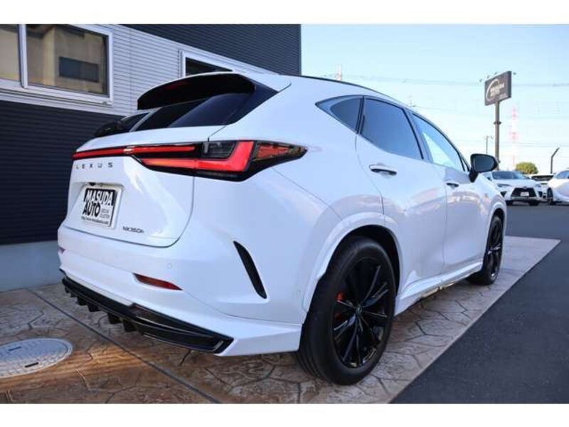 NX