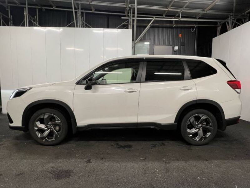 FORESTER