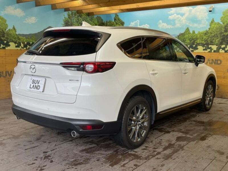 CX-8