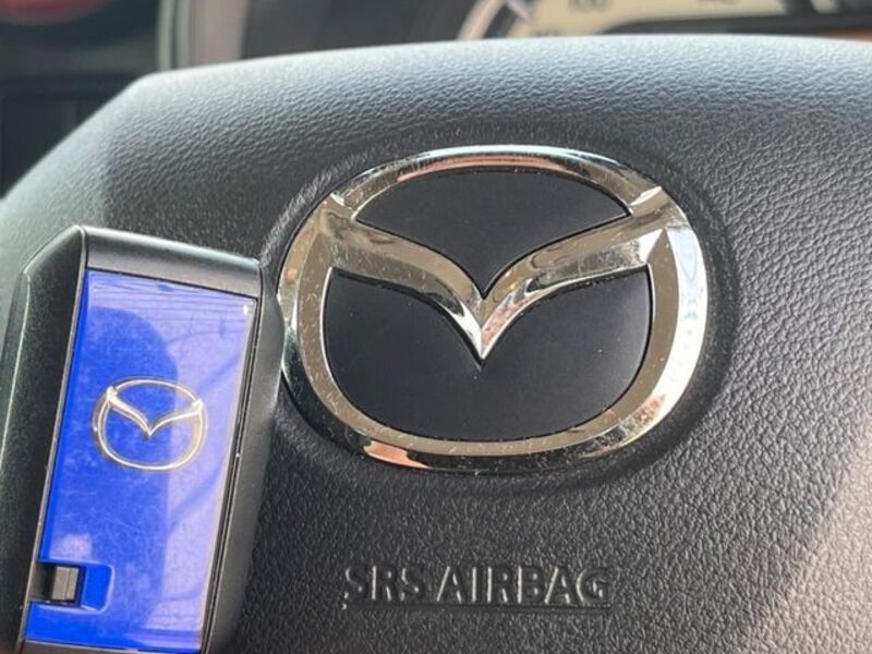FLAIR WAGON