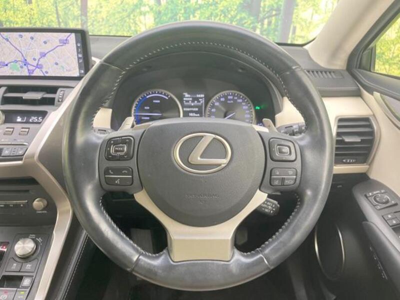NX