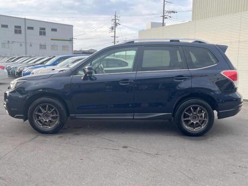 FORESTER